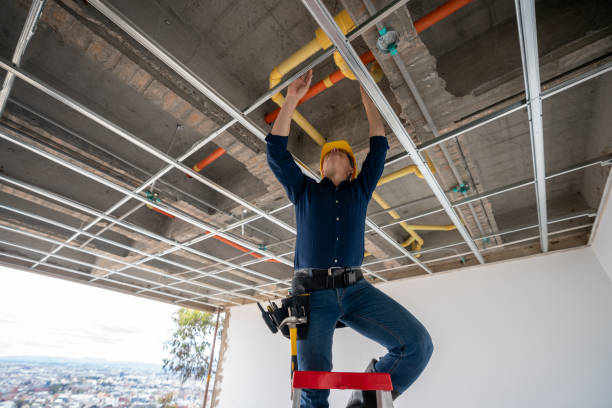 Best Clogged Drain Plumber  in Loomis, CA