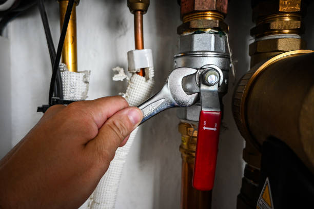 Best Local Plumber Services  in Loomis, CA